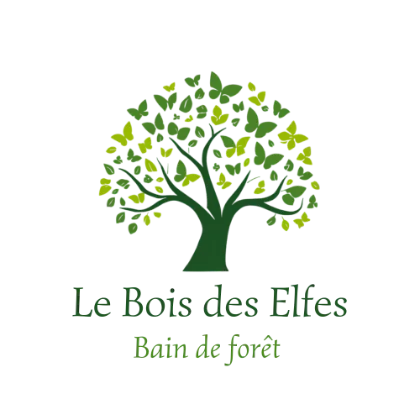 Le Bois des Elfes — Bains de forêt en Brocéliande